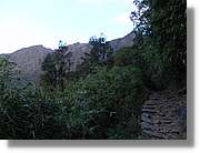 Inca_544.jpg(119 KB)
