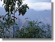 Inca_549.jpg(114 KB)