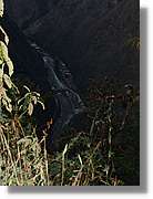 Inca_589.jpg(106 KB)