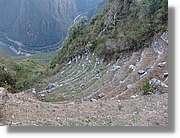 Inca_628.jpg(176 KB)