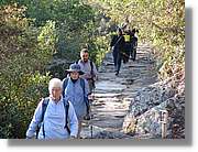 Inca_656.jpg(204 KB)