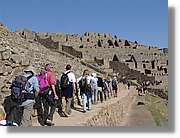 Inca_682.jpg(137 KB)