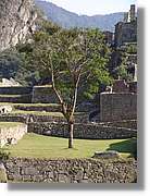 Inca_684.jpg(175 KB)