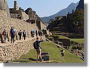 Inca_687.jpg(155 KB)