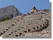 Inca_713.jpg(167 KB)