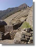 Inca_730.jpg(157 KB)