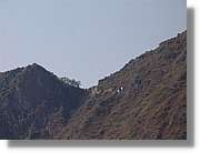 Inca_738.jpg(64,4 KB)