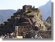 Inca_746.jpg(127 KB)
