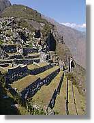 Inca_760.jpg(156 KB)