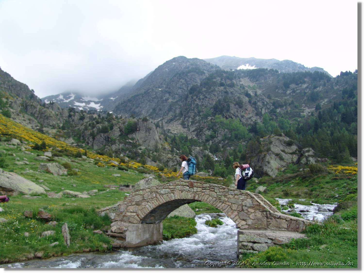 Juclar_011.jpg