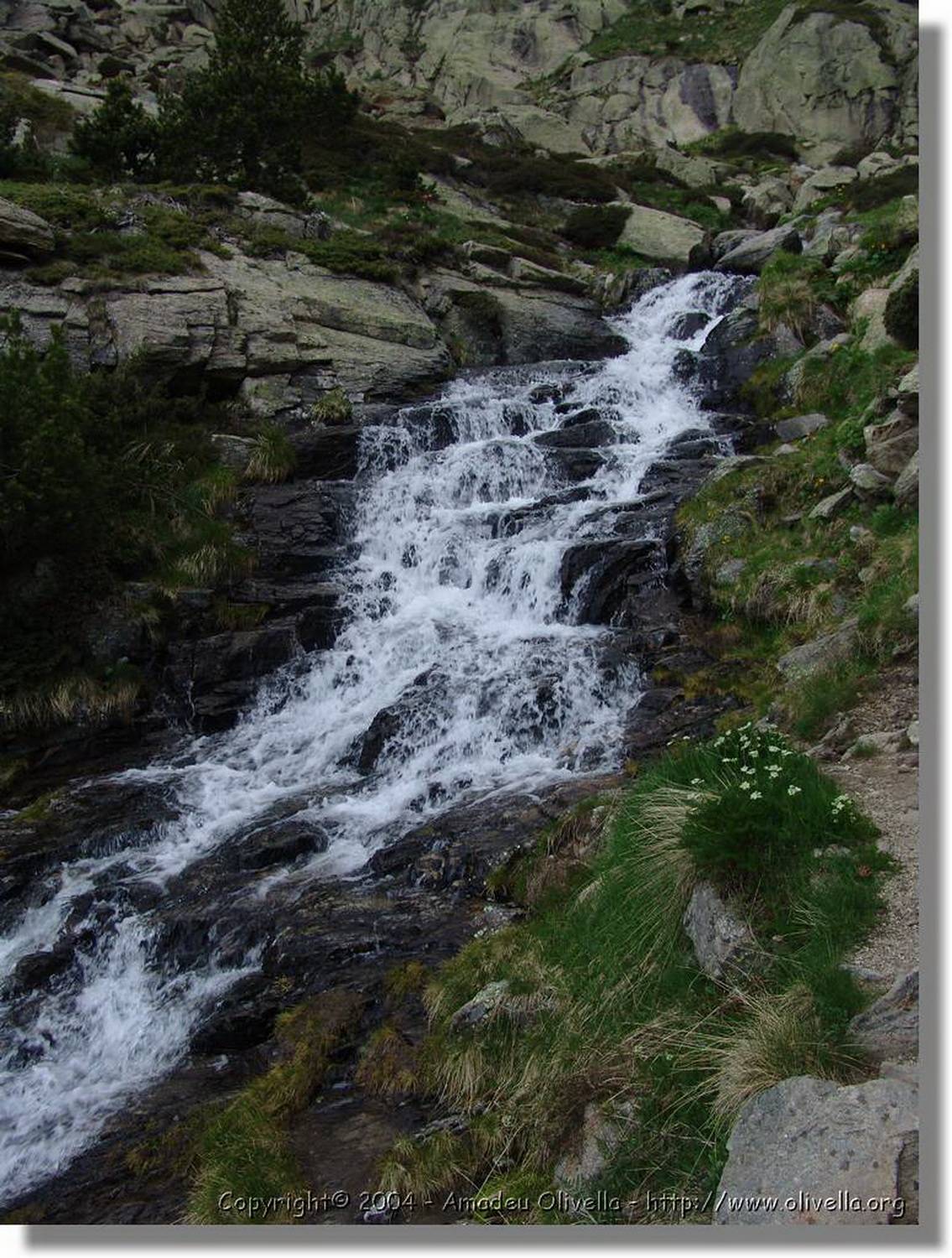 Juclar_031.jpg