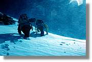 Jungfrau_011.jpg