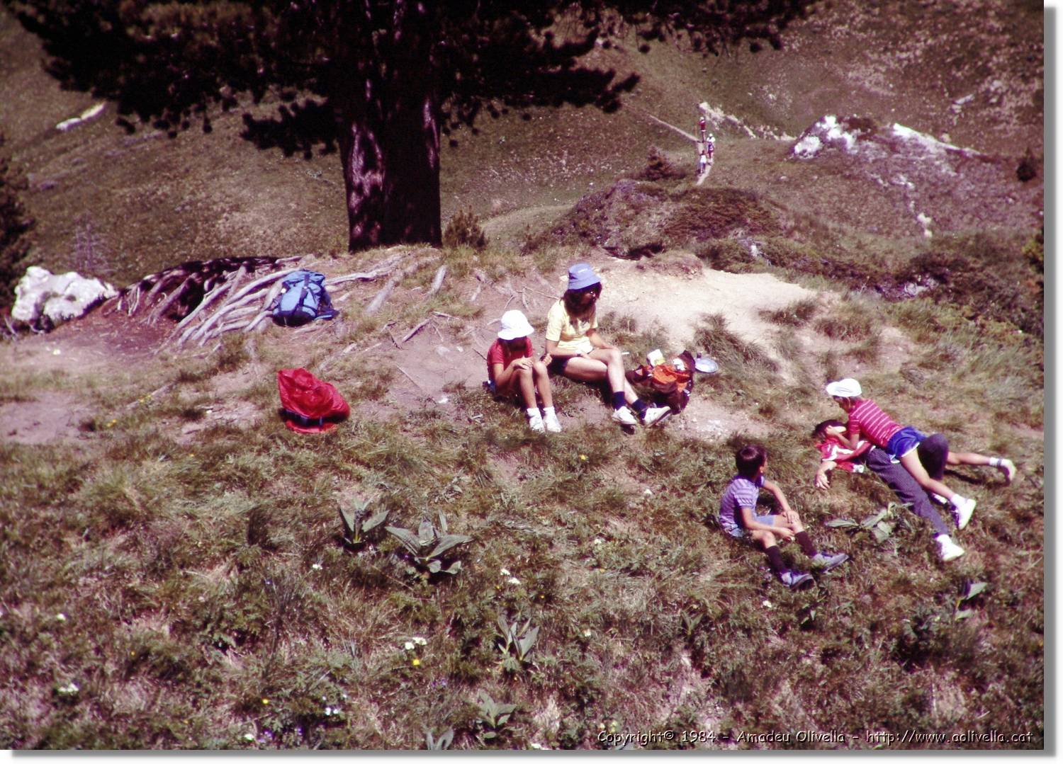 Alps_014.jpg