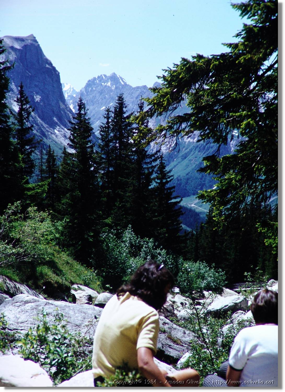 Alps_019.jpg