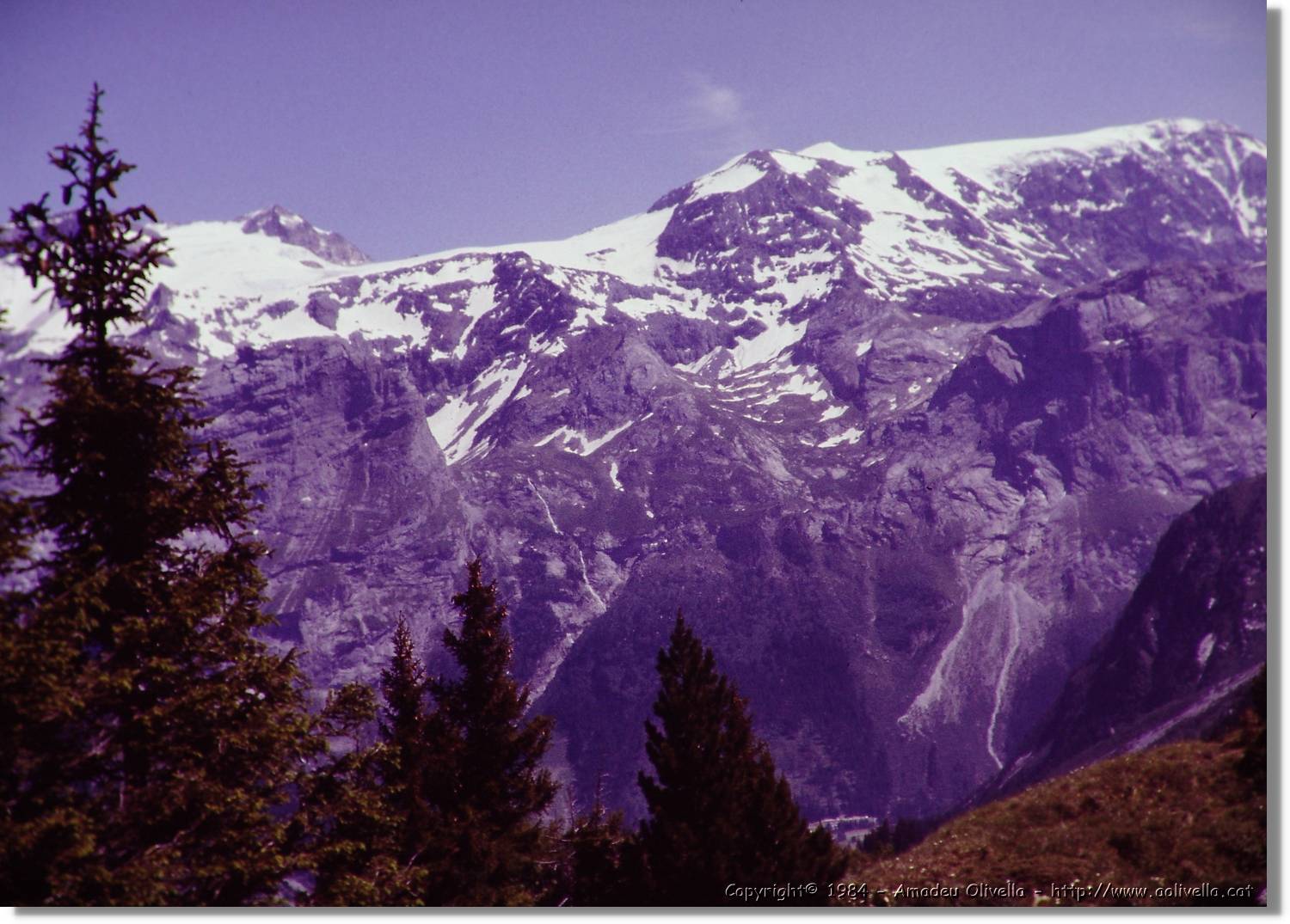 Alps_024.jpg
