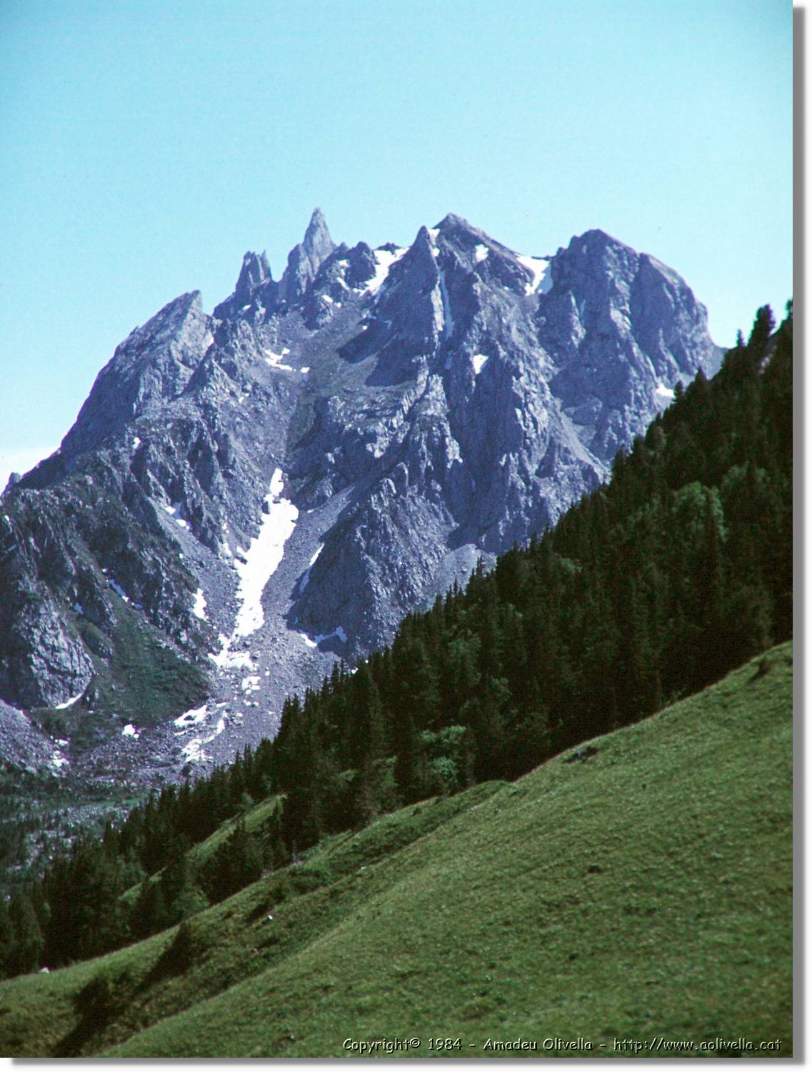 Alps_028.jpg