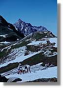 Alps_068.jpg