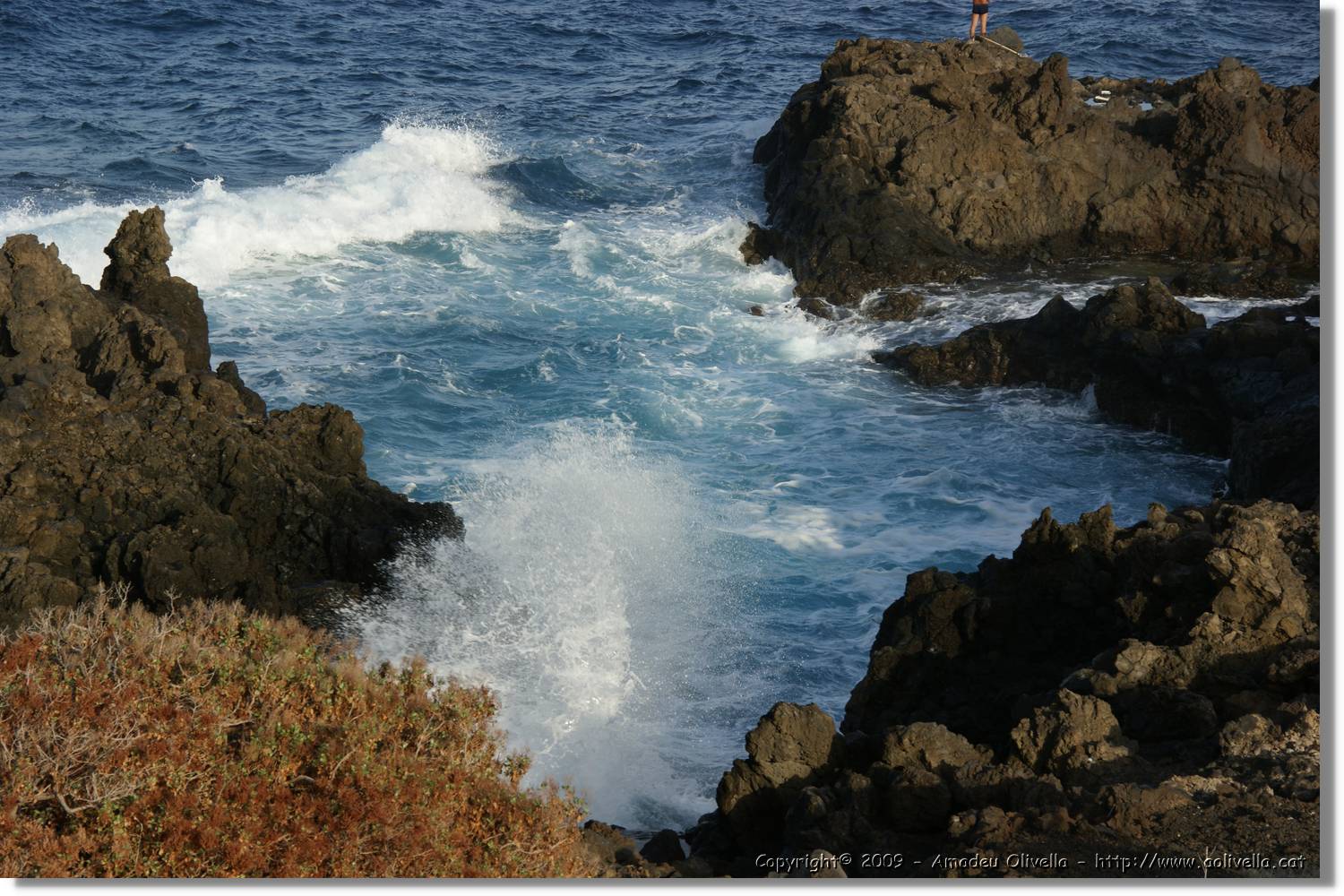 Cancajos_001.jpg