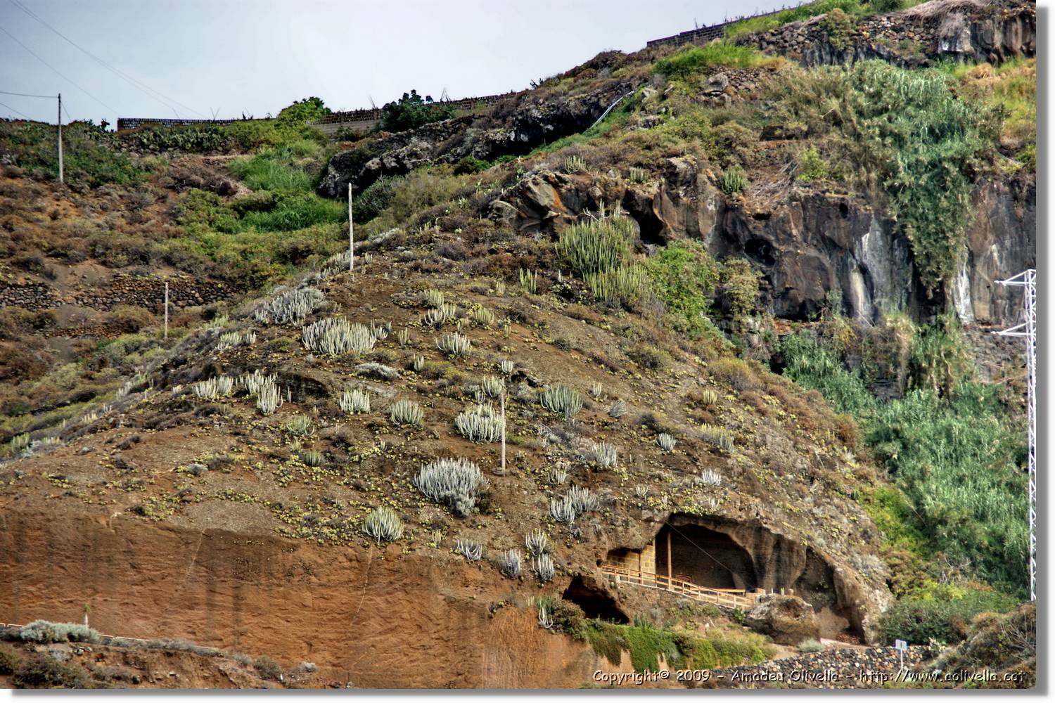 Cancajos_027.jpg
