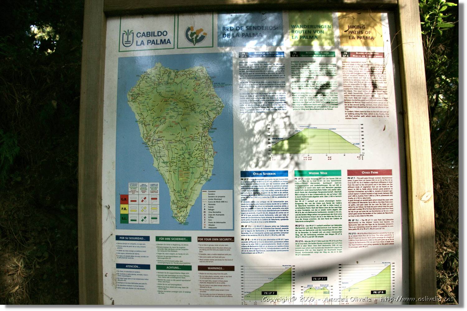 Nacientes_011.jpg