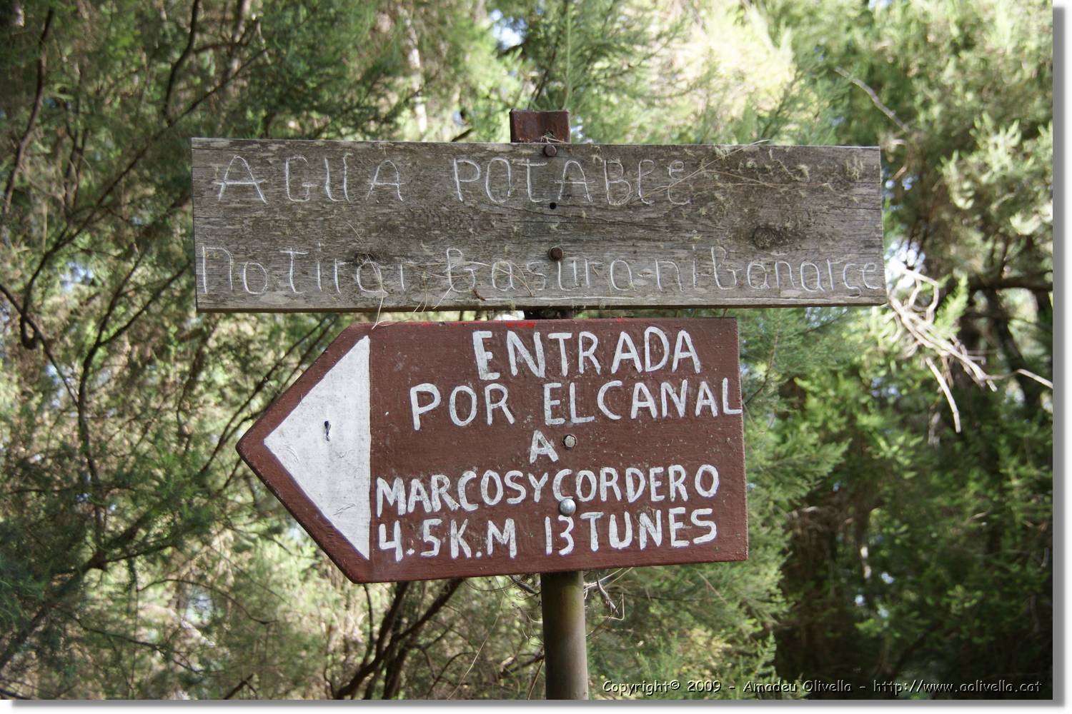 Nacientes_013.jpg