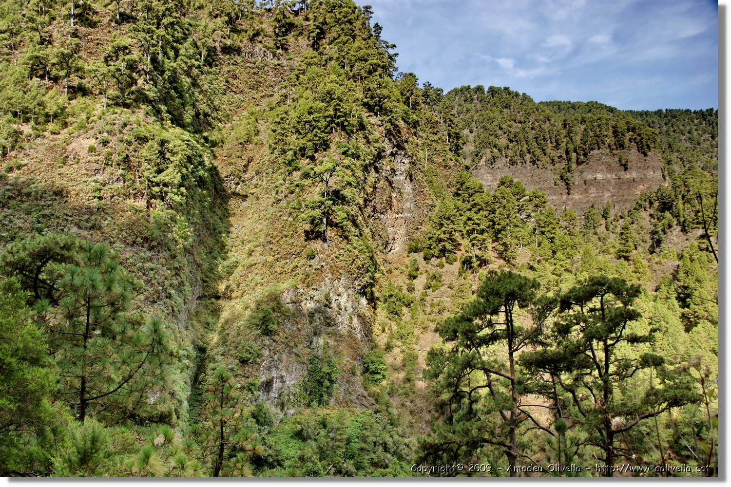 Nacientes_032.jpg