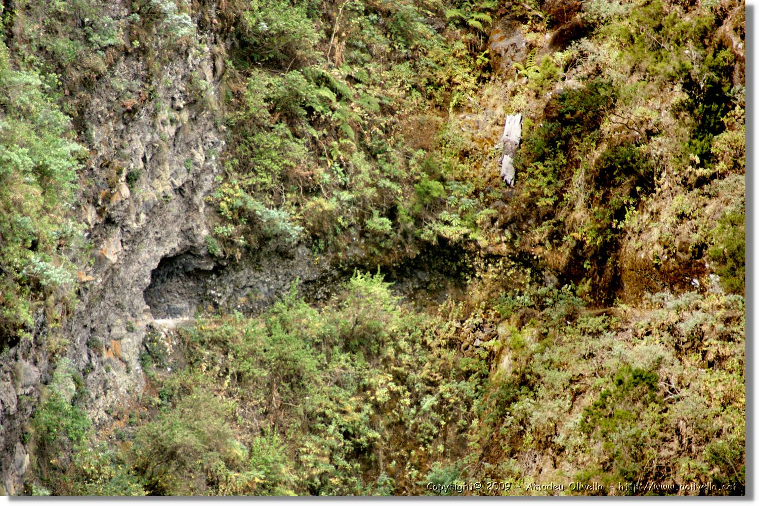 Nacientes_033.jpg