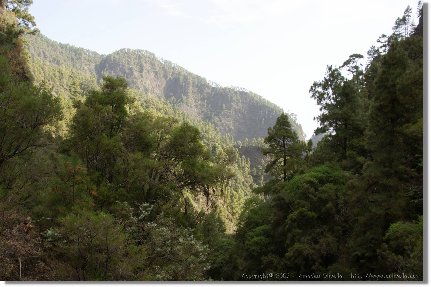 Nacientes_039.jpg