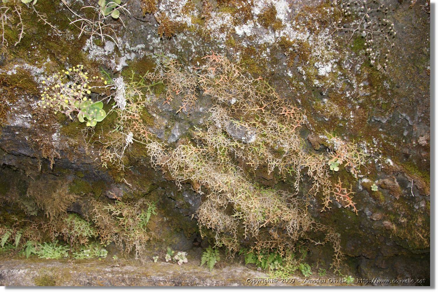 Nacientes_042.jpg