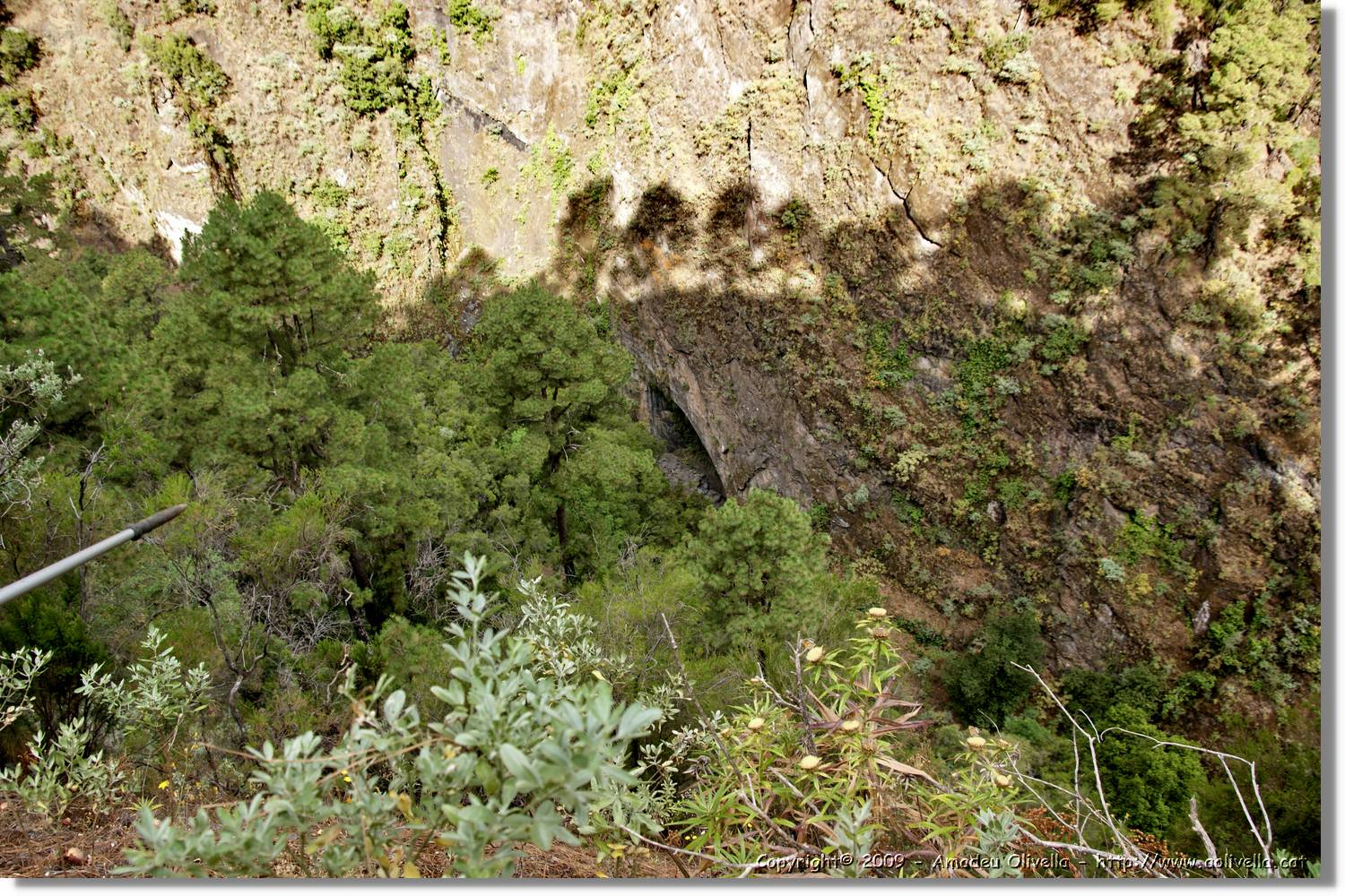 Nacientes_056.jpg
