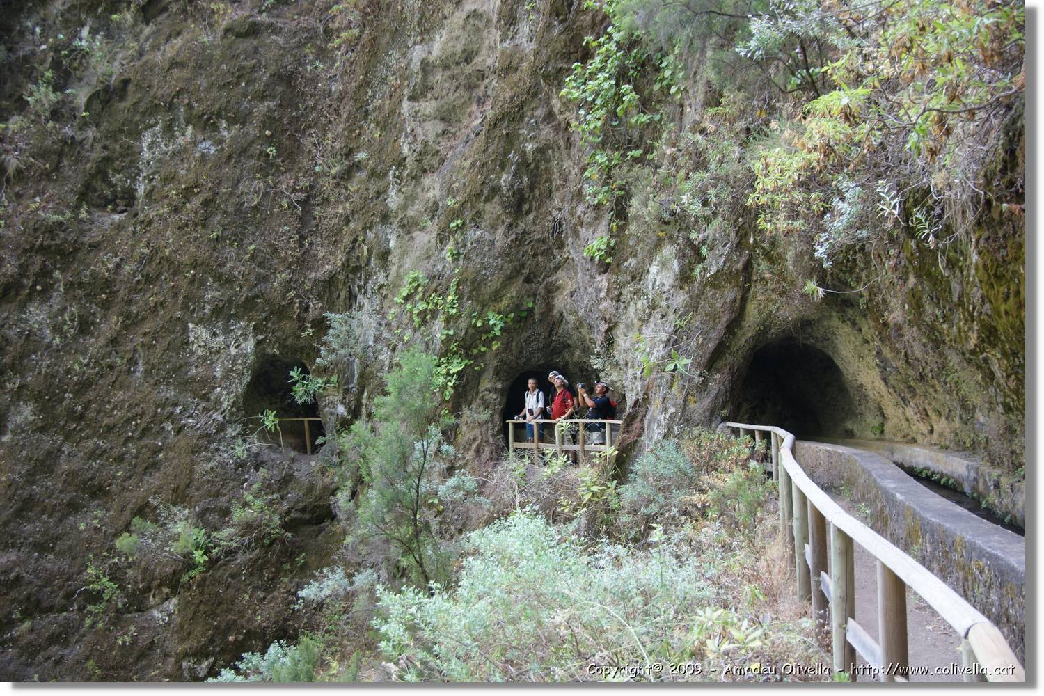 Nacientes_069.jpg