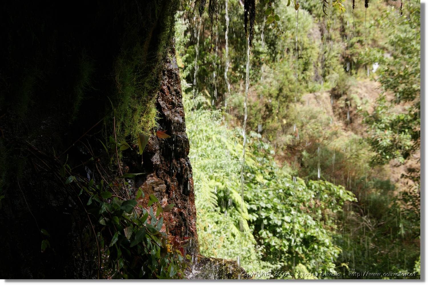 Nacientes_072.jpg