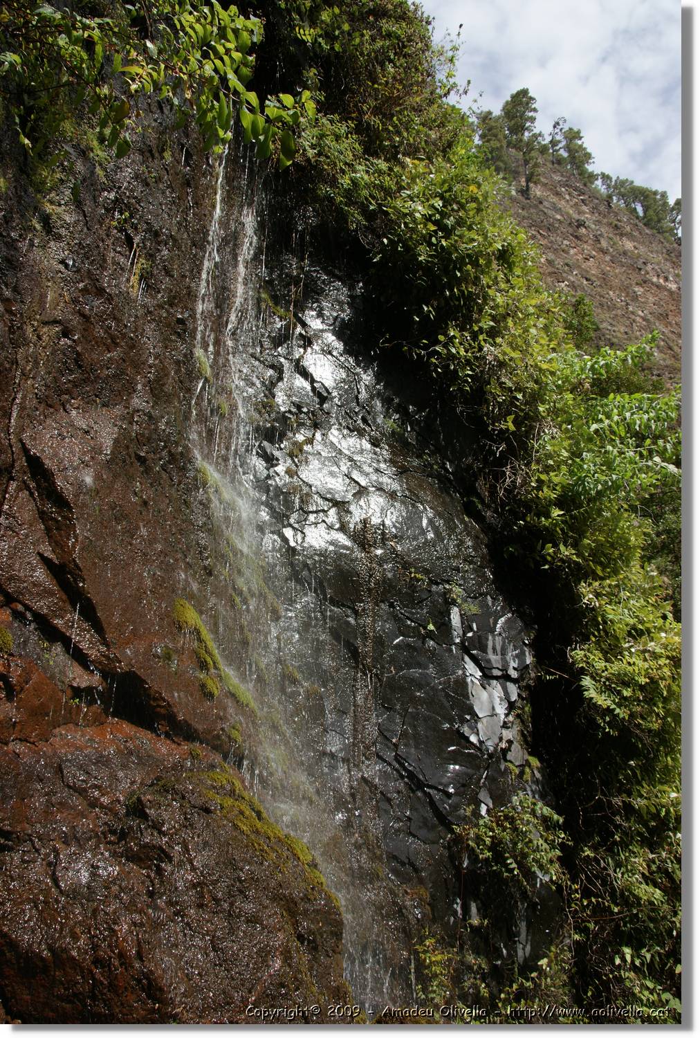 Nacientes_074.jpg