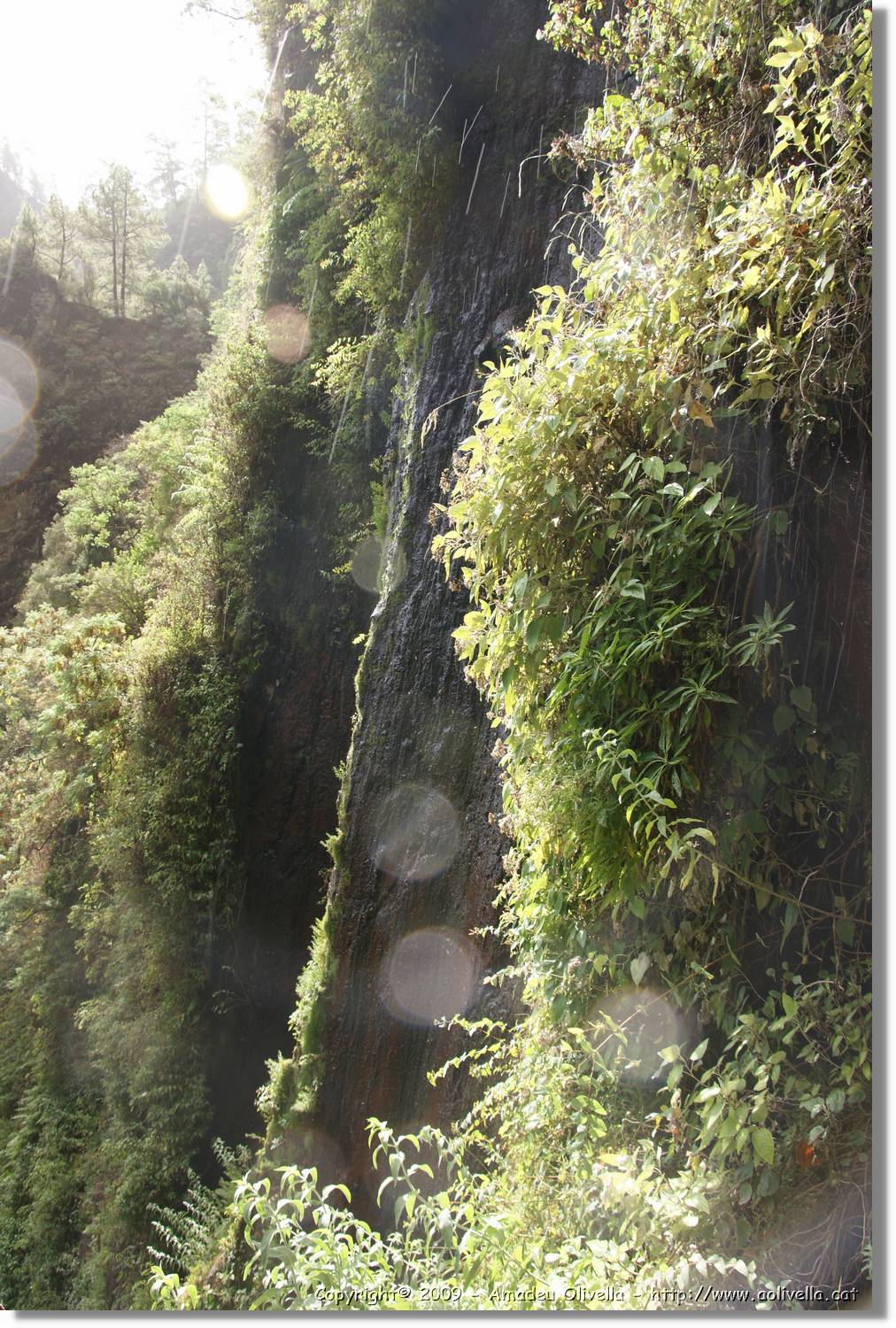 Nacientes_076.jpg