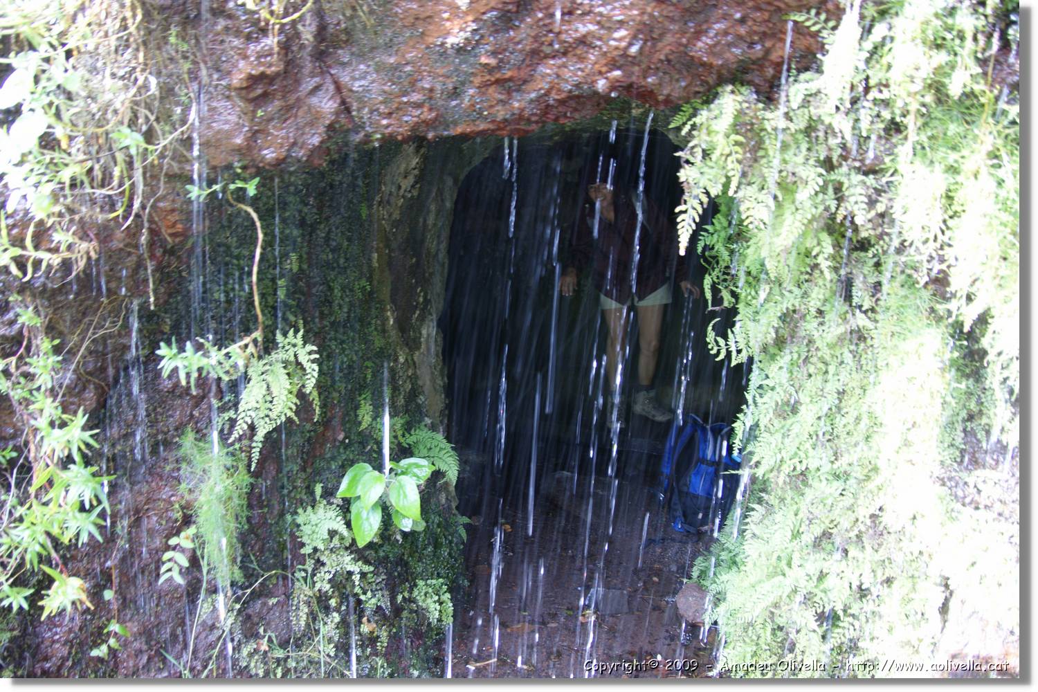 Nacientes_077.jpg