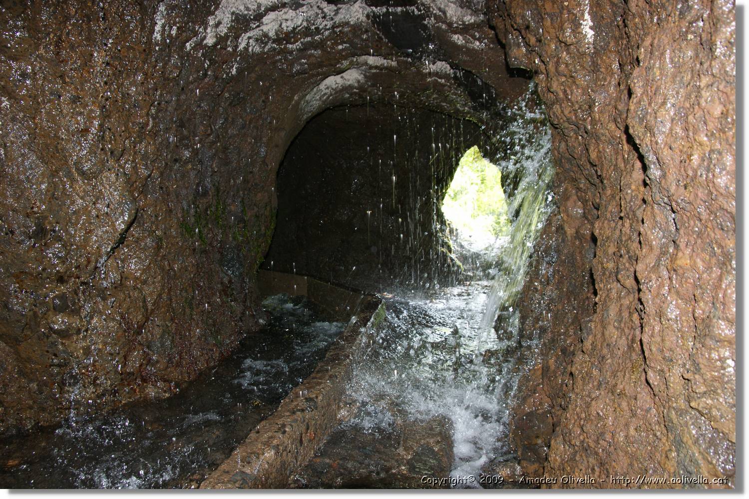 Nacientes_082.jpg