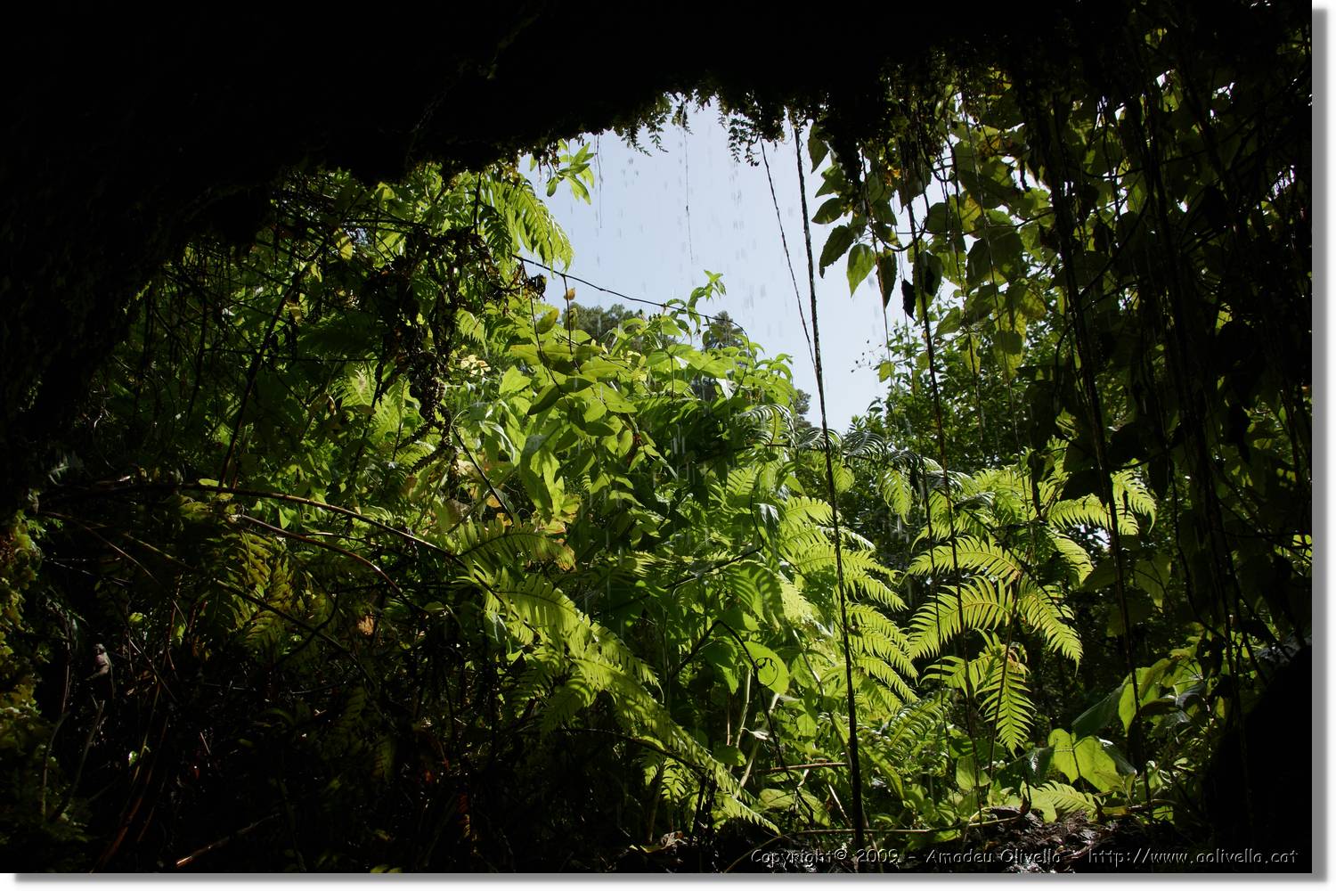 Nacientes_084.jpg