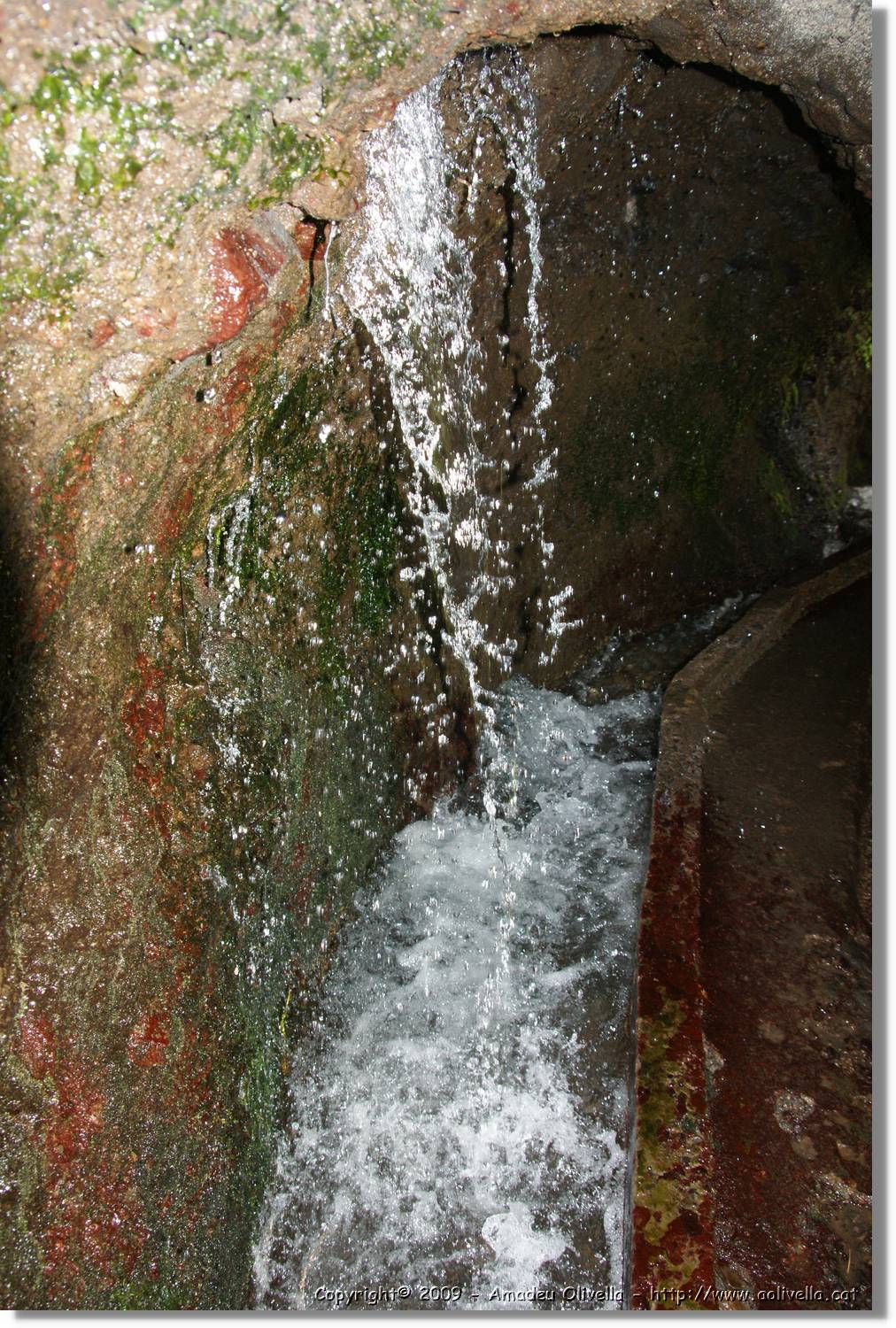 Nacientes_086.jpg