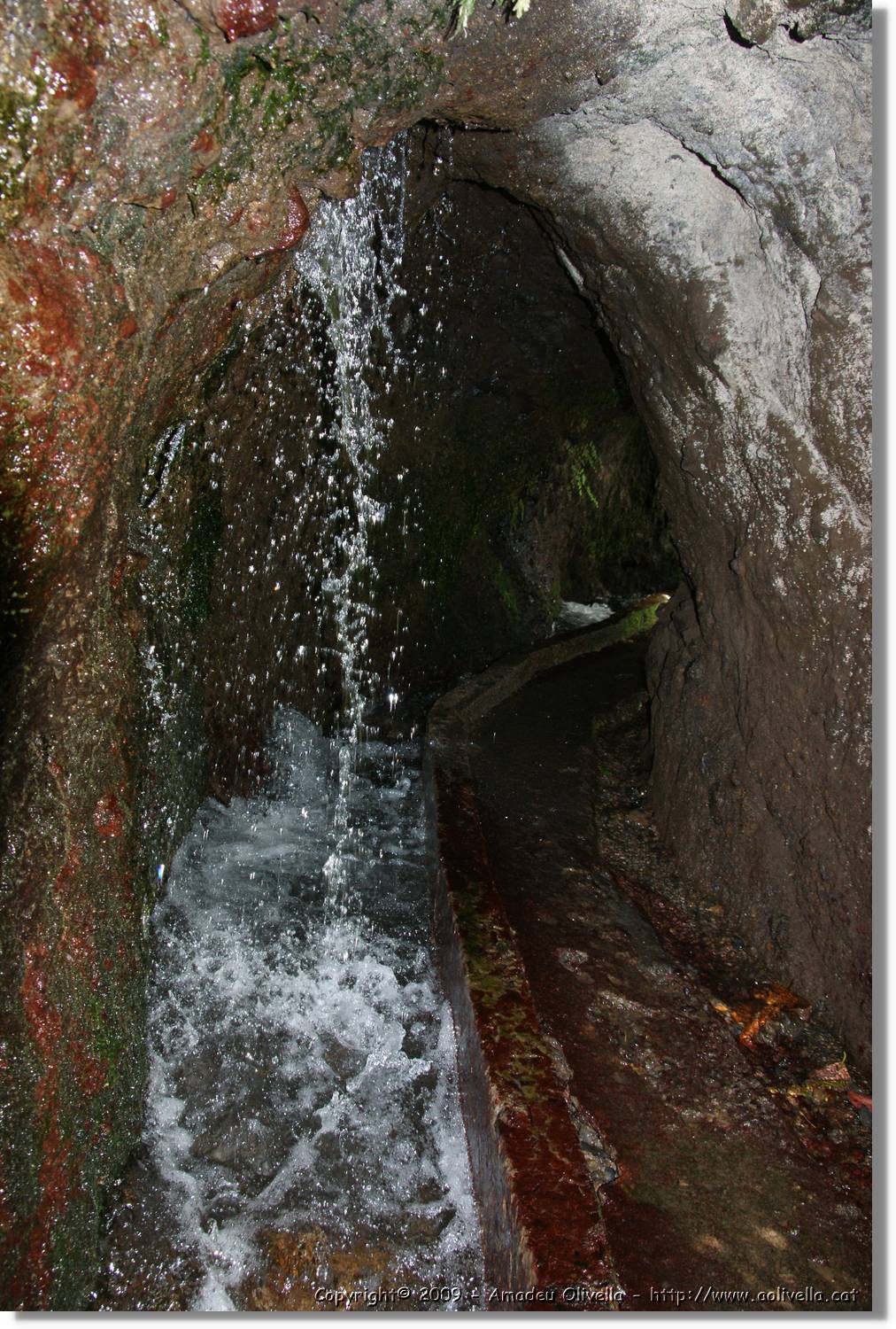 Nacientes_087.jpg