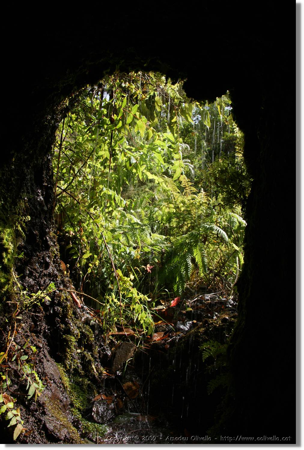 Nacientes_088.jpg