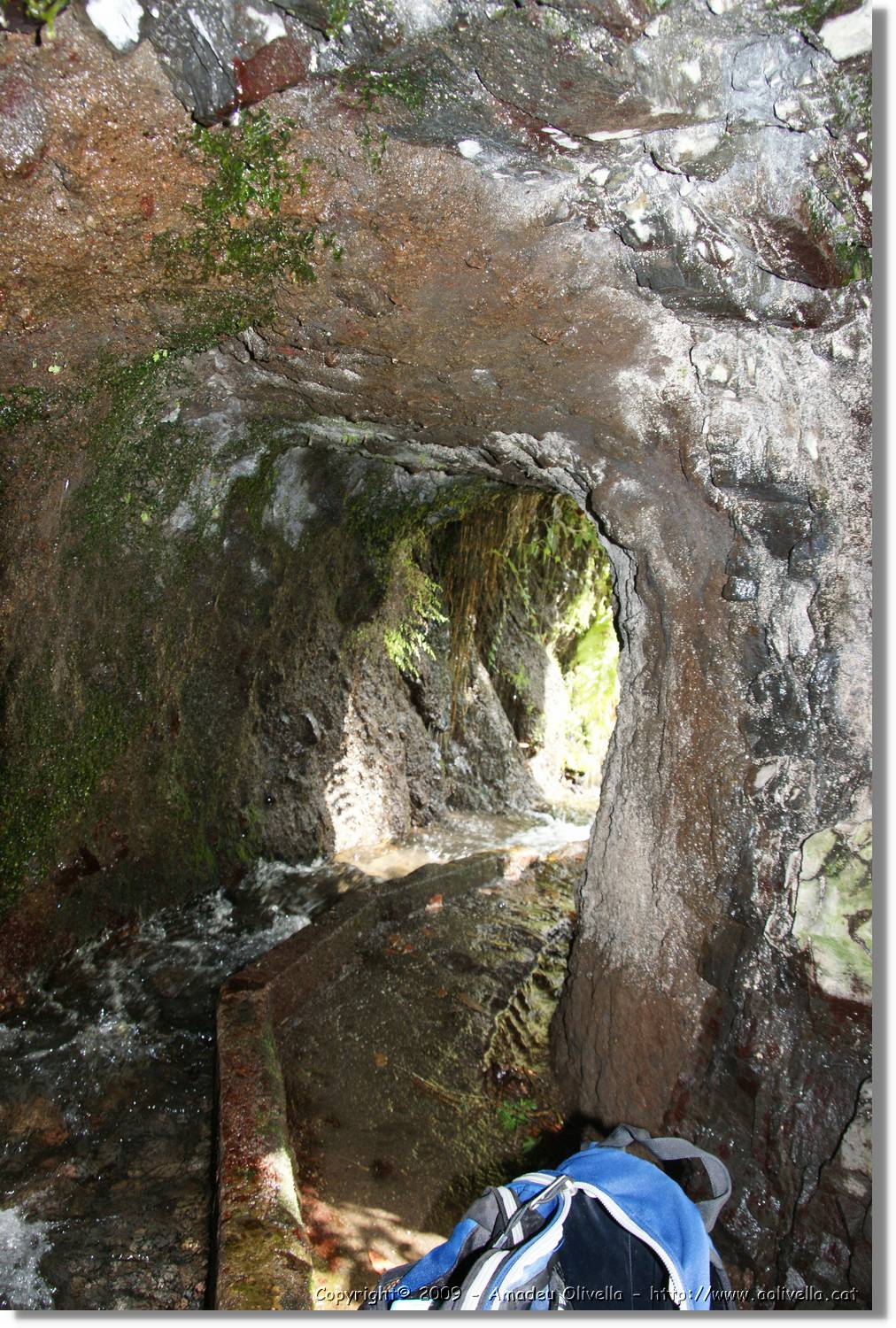 Nacientes_090.jpg