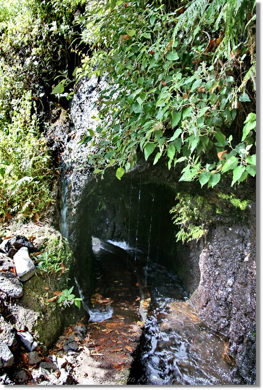 Nacientes_091.jpg