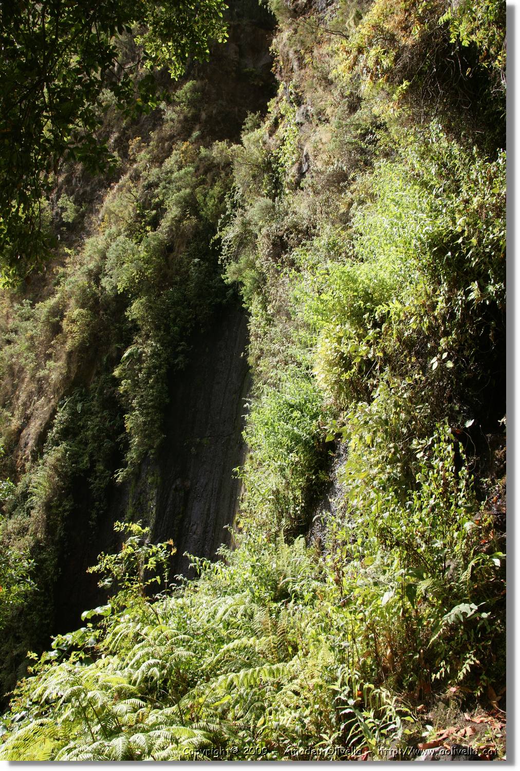 Nacientes_092.jpg