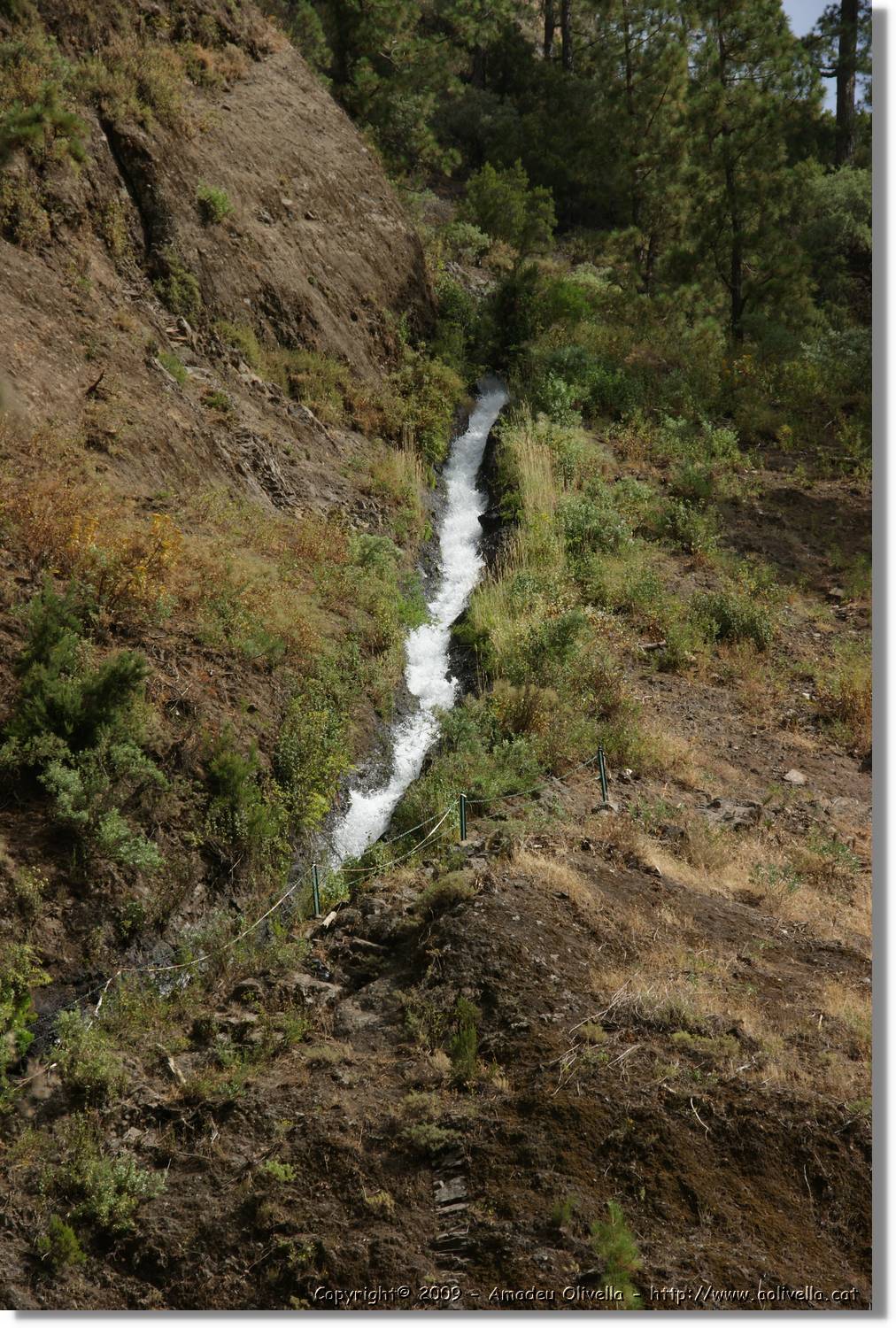 Nacientes_094.jpg