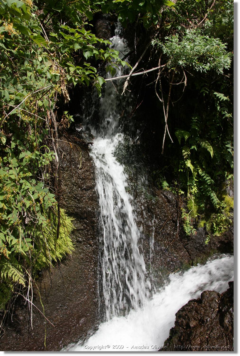 Nacientes_097.jpg