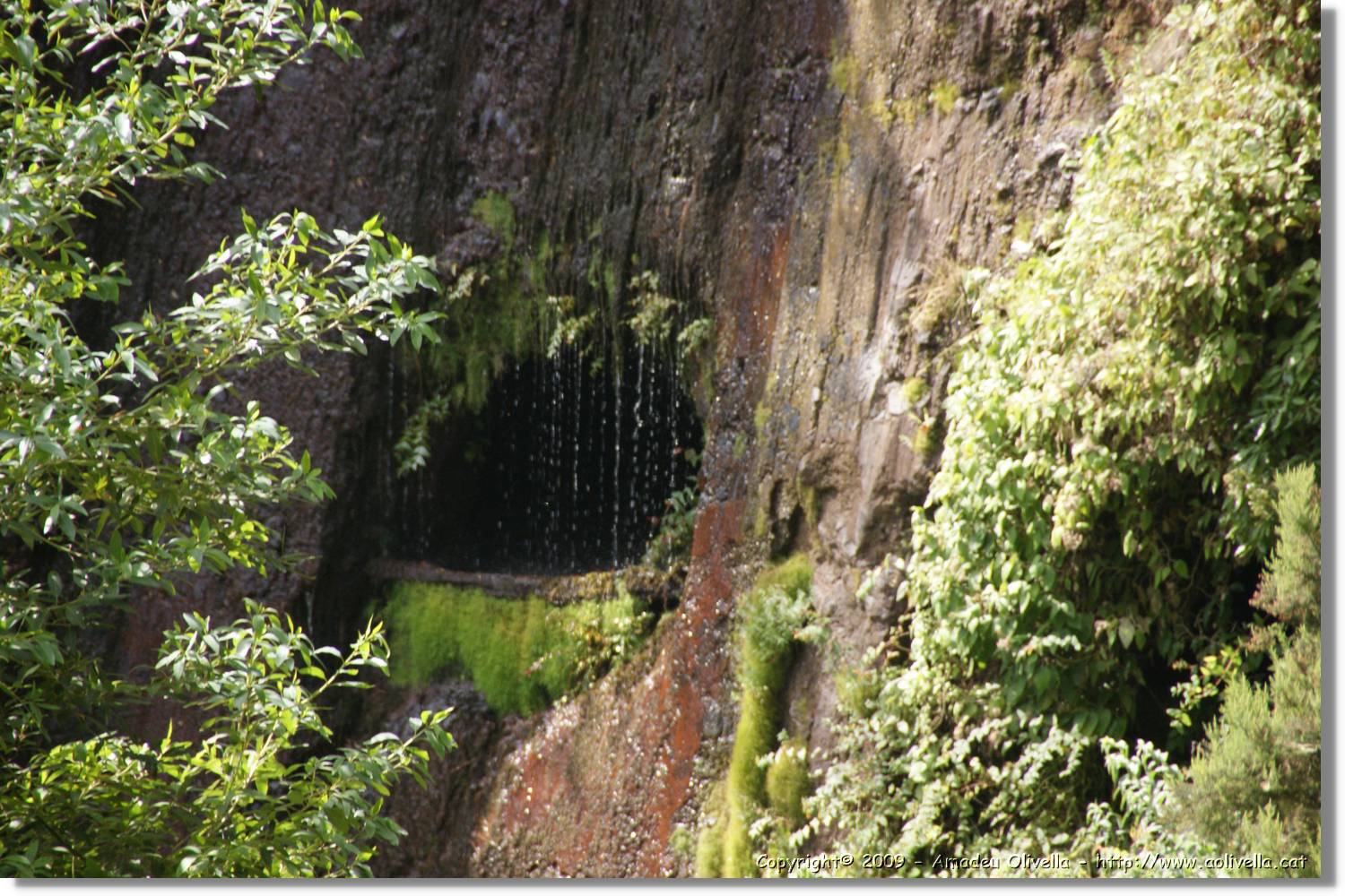 Nacientes_098.jpg