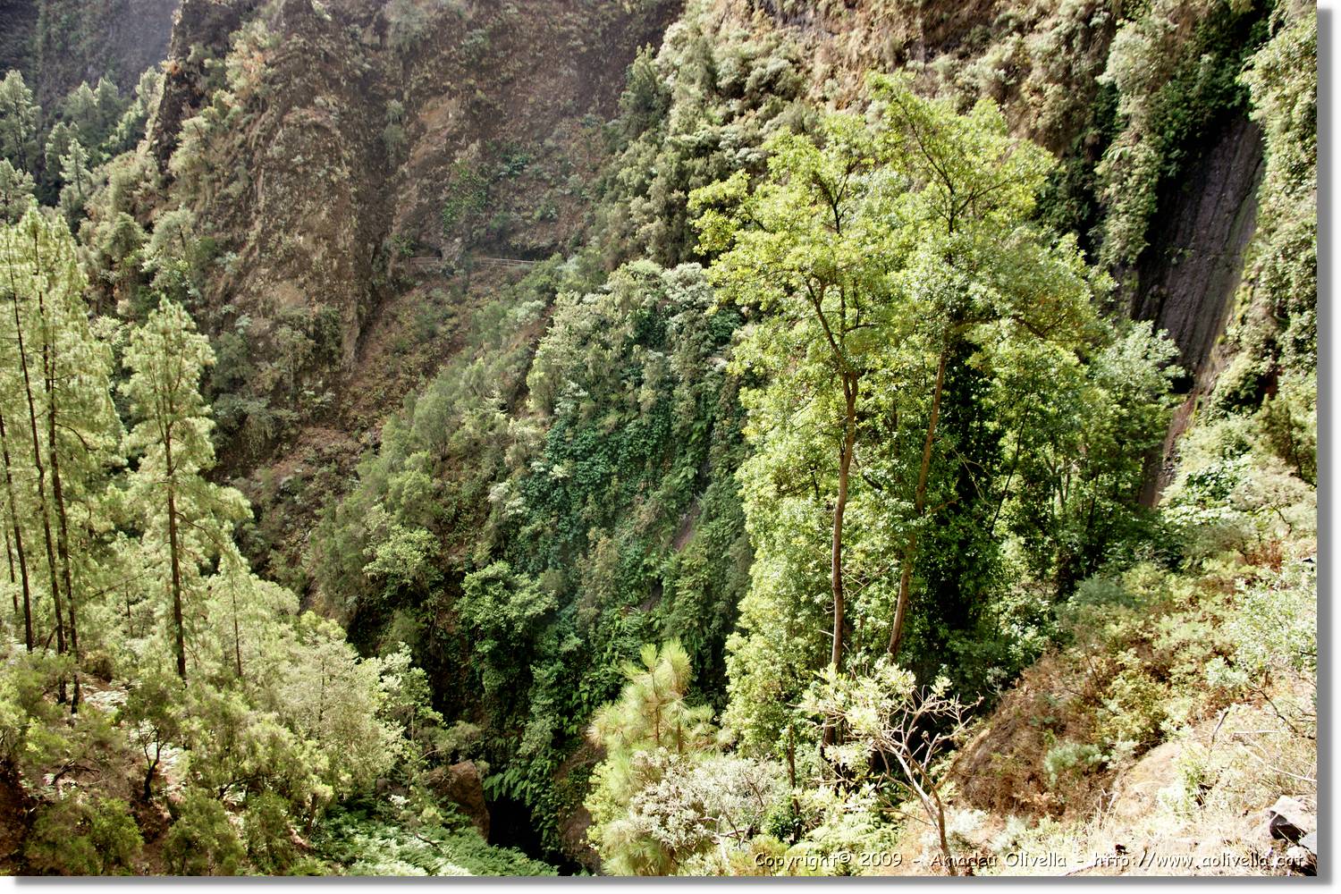Nacientes_099.jpg
