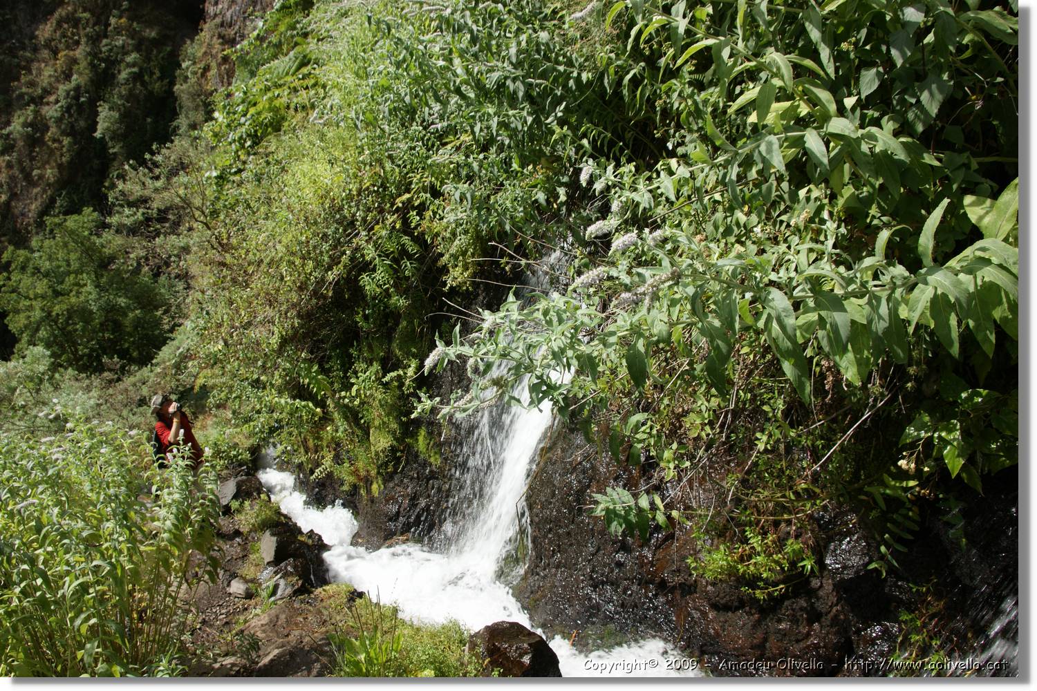 Nacientes_104.jpg