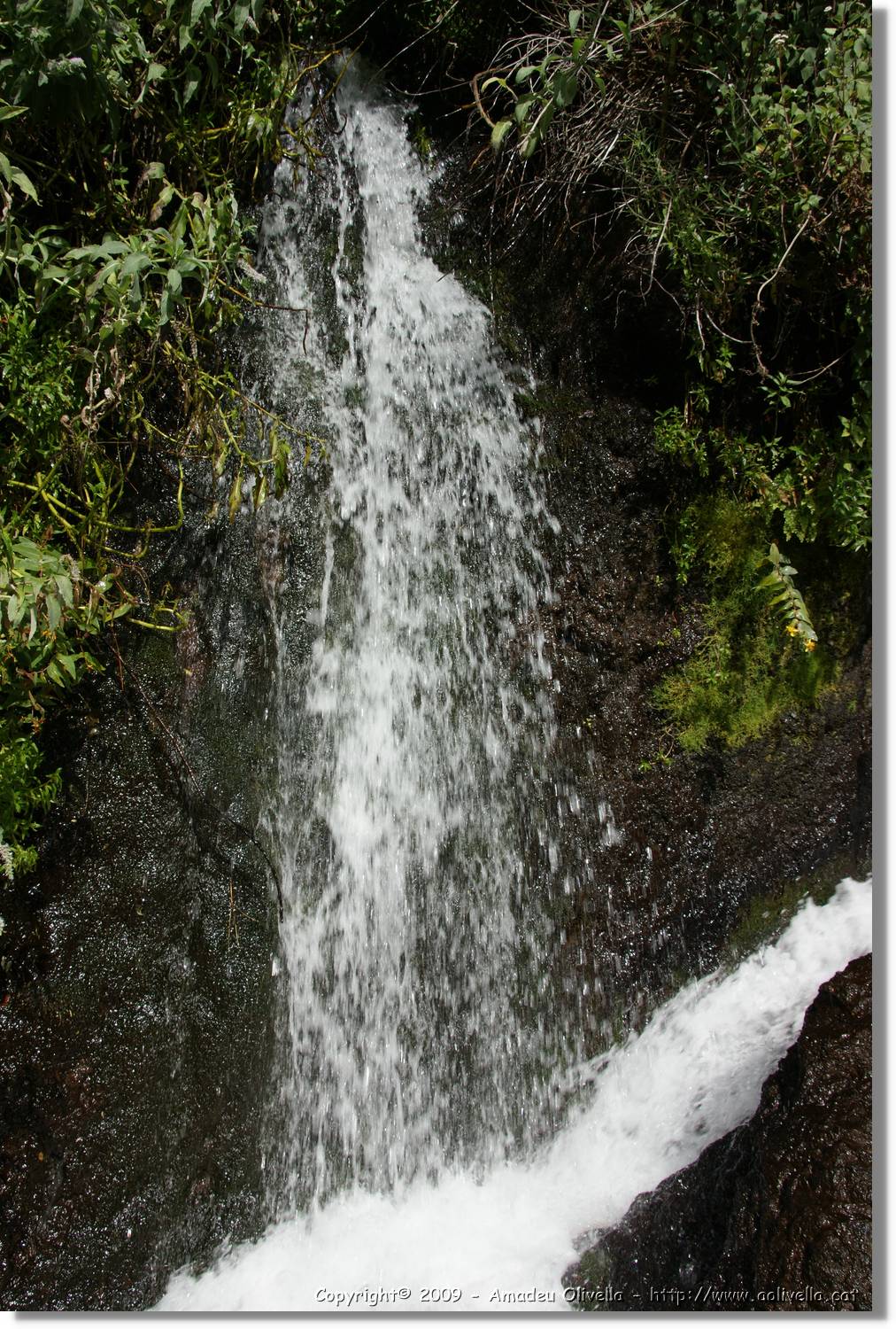Nacientes_105.jpg