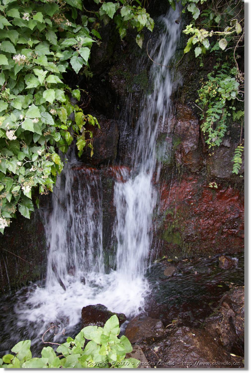 Nacientes_118.jpg